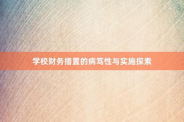 学校财务措置的病笃性与实施探索