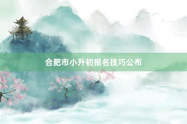 合肥市小升初报名技巧公布
