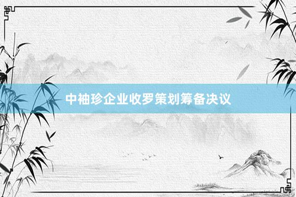 中袖珍企业收罗策划筹备决议