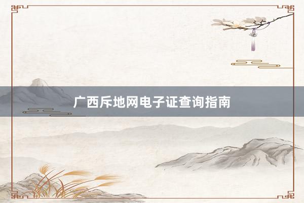 广西斥地网电子证查询指南