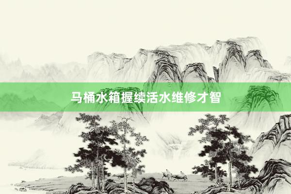 马桶水箱握续活水维修才智