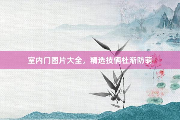 室内门图片大全，精选技俩杜渐防萌