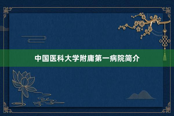 中国医科大学附庸第一病院简介